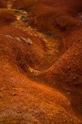 Serie Aserrín – Colección Fine Art