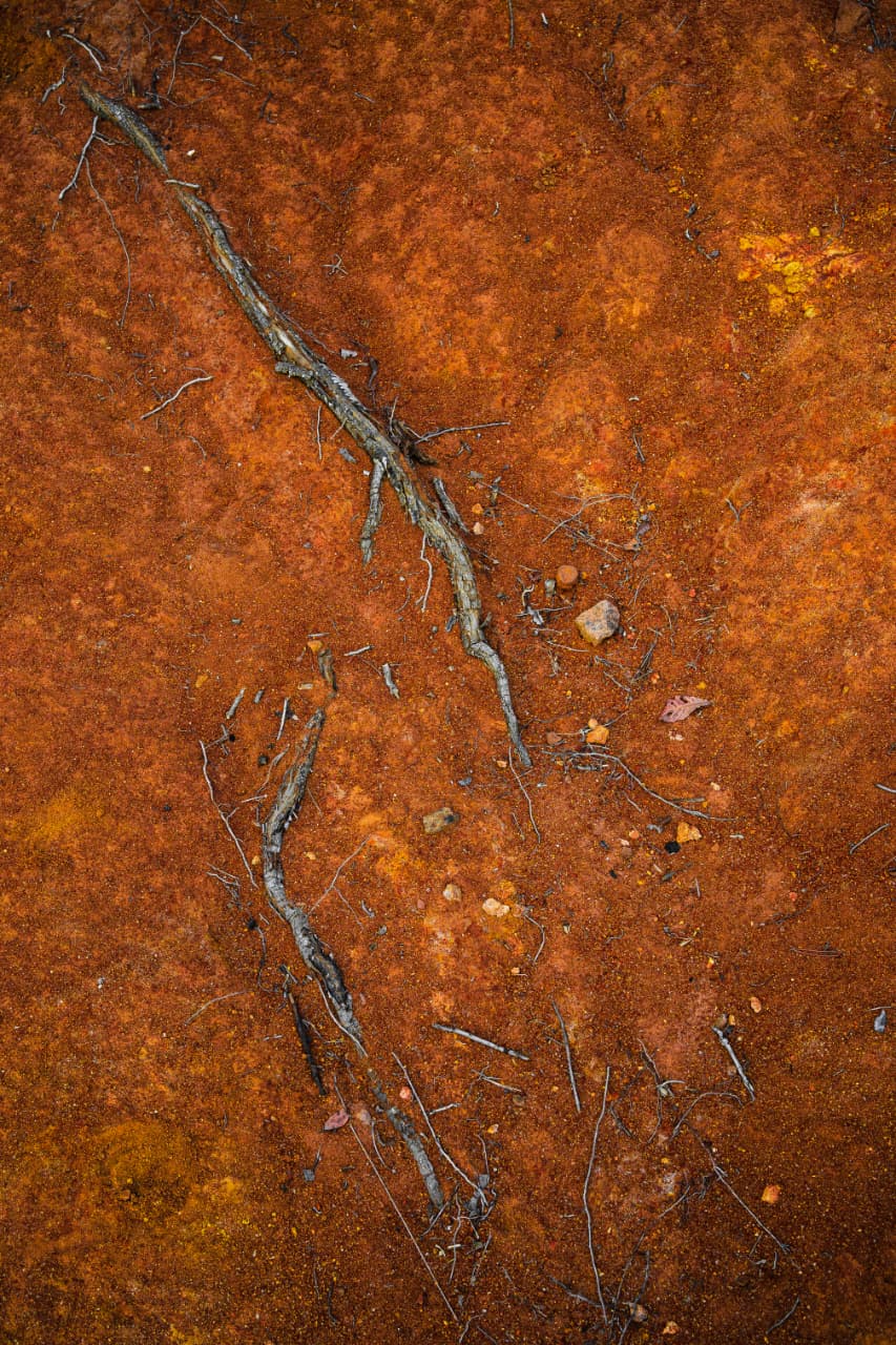 Serie Aserrín – Colección Fine Art